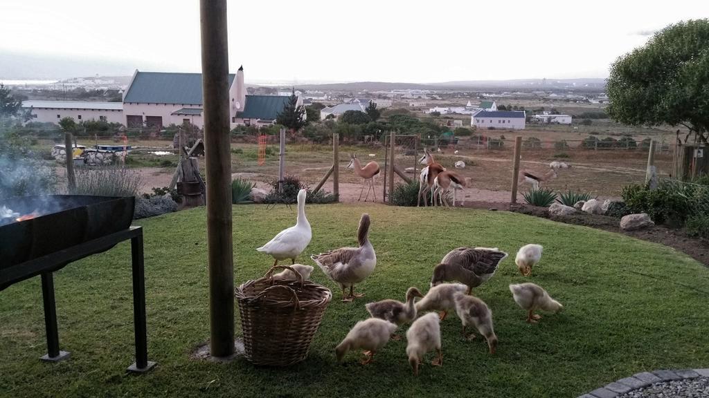 The Stables Accommodation Langebaan Oda fotoğraf