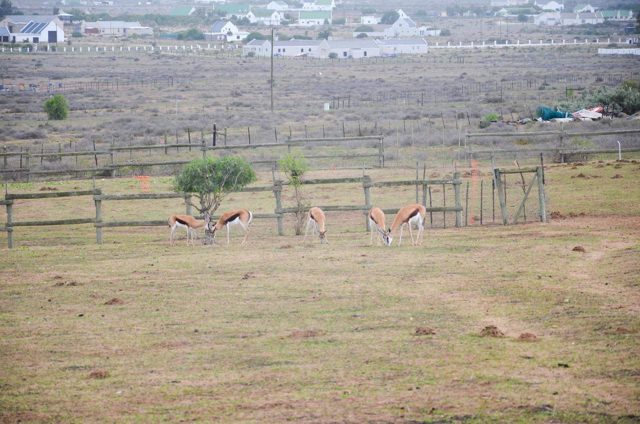 The Stables Accommodation Langebaan Dış mekan fotoğraf